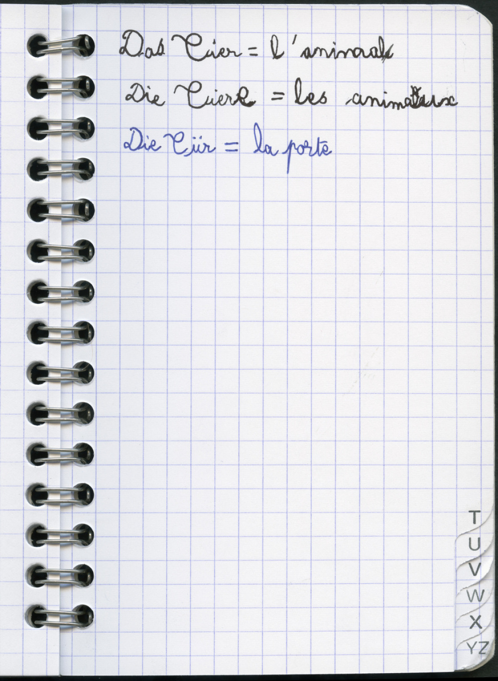 Allemand : carnet de vocabulaire