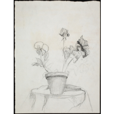 Pot de fleurs