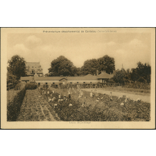 Préventorium Départemental de Canteleu : Leçon de jardinage