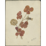 Feuille de dessin
