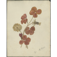Feuille de dessin