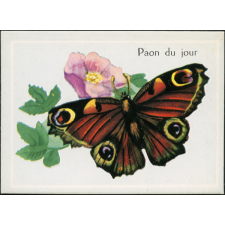 Paon du jour
