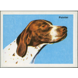 Pointer