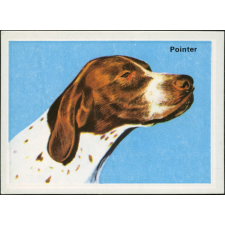 Pointer