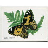 Belle Dame