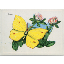 Citron