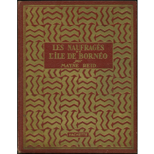 Les naufragés de l'île de Bornéo