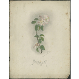 Pommier