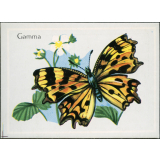 Gamma