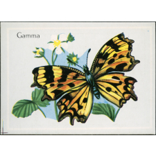 Gamma