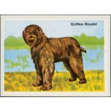 Griffon Boulet