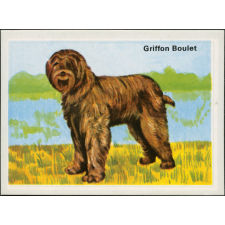 Griffon Boulet