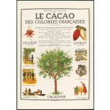 Le cacao des colonies françaises