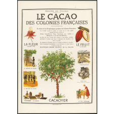Le cacao des colonies françaises