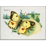 Soufré