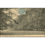 Le Collège de Normandie : La Grande Avenue