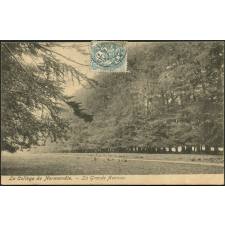 Le Collège de Normandie : La Grande Avenue