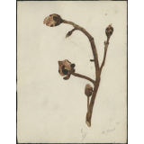 Feuille de dessin