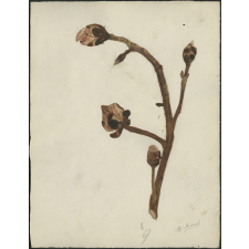 Feuille de dessin