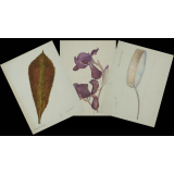 3 feuilles de dessin