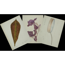 3 feuilles de dessin
