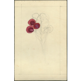 Fleur