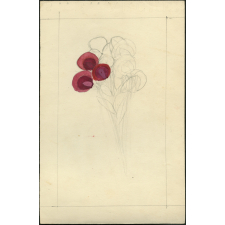 Fleur