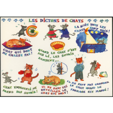 Les dictons de chats
