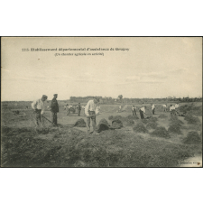 Etablissement départemental d'assistance de Grugny (Un chantier agricole en activité)