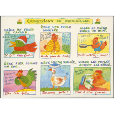 Expressions du poulailler