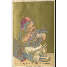 Éleveur de lapins en chambre
