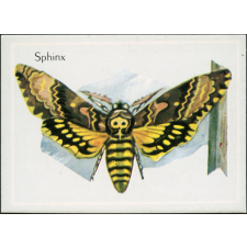 Sphinx