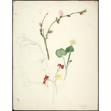 Fleurs printanières
