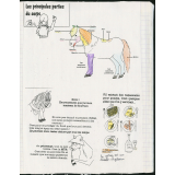 Cahier d'éveil