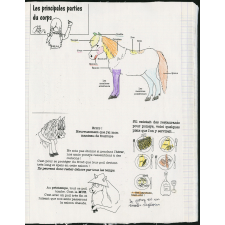 Cahier d'éveil