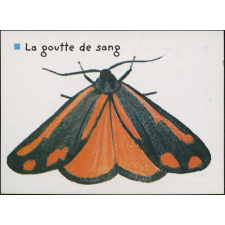 La goutte de sang