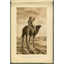 L'Algérie. Paysages et mœurs de la vie arabe. Scènes et types - Méhariste au désert