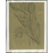 Fleurs