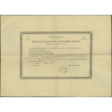 Brevet de capacité pour l'enseignement primaire de Jeanne Madeleine Tallon (Institutrices - brevet supérieur)
