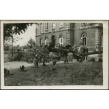 Ecole des Contremaîtres de l'Industrie Textile de Rouen (ECITR), Rouen : groupe d'élèves autour d'un acacia tombé à terre