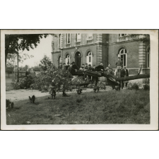 Ecole des Contremaîtres de l'Industrie Textile de Rouen (ECITR), Rouen : groupe d'élèves autour d'un acacia tombé à terre