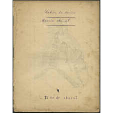 Cahier de dessins