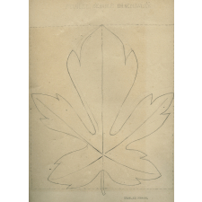 Cahier de dessin
