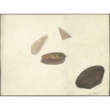 Feuille de dessin