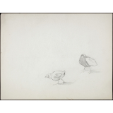 Petits oiseaux