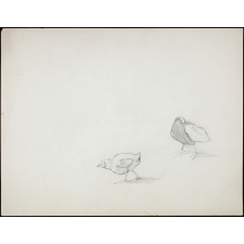 Petits oiseaux