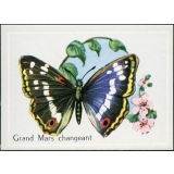 Grand Mars changeant