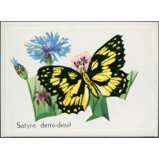 Satyre demi-deuil