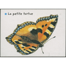 La petite tortue