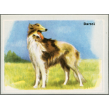 Barzoï